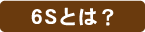 6Sとは?